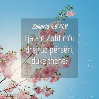 Picture 04 - Zakaria 4:8 ALB - Fjala e Zotit m’u drejtua përsëri, duke - Bible Verse Picture