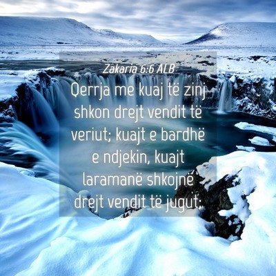 Picture 04 - Zakaria 6:6 ALB - Qerrja me kuaj të zinj shkon drejt vendit të - Bible Verse Picture