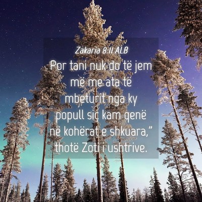 Picture 04 - Zakaria 8:11 ALB - Por tani nuk do të jem më me ata të mbeturit - Bible Verse Picture
