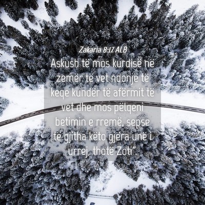 Picture 04 - Zakaria 8:17 ALB - Askush të mos kurdisë në zemër të vet - Bible Verse Picture