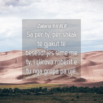 Picture 04 - Zakaria 9:11 ALB - Sa për ty, për shkak të gjakut të - Bible Verse Picture