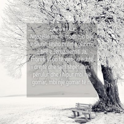 Picture 04 - Zakaria 9:9 ALB - Ngazëllo me të madhe, o bijë e Sionit, lësho - Bible Verse Picture
