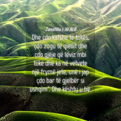 Picture 04 - Zanafilla 1:30 ALB - Dhe çdo kafshe të tokës, çdo zogu të qiellit - Bible Verse Picture