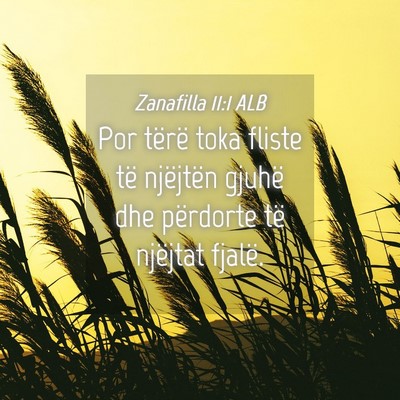 Picture 04 - Zanafilla 11:1 ALB - Por tërë toka fliste të njëjtën gjuhë dhe - Bible Verse Picture
