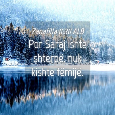 Picture 04 - Zanafilla 11:30 ALB - Por Saraj ishte shterpë, nuk kishte - Bible Verse Picture