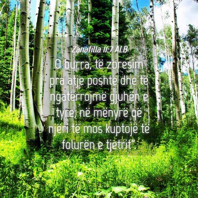 Picture 04 - Zanafilla 11:7 ALB - O burra, të zbresim pra atje poshtë dhe të - Bible Verse Picture