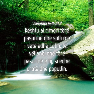 Picture 04 - Zanafilla 14:16 ALB - Kështu ai rimori tërë pasurinë dhe solli me - Bible Verse Picture
