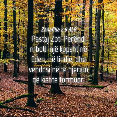 Picture 04 - Zanafilla 2:8 ALB - Pastaj Zoti Perëndi mbolli një kopsht në Eden, - Bible Verse Picture