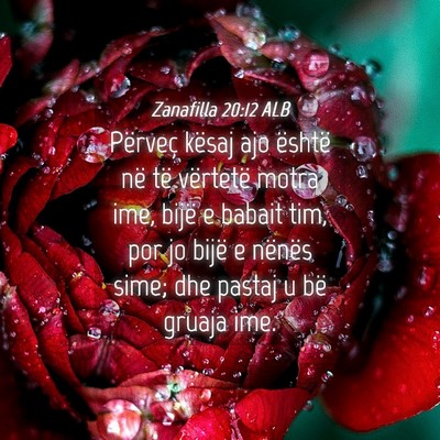Picture 04 - Zanafilla 20:12 ALB - Përveç kësaj ajo është në të vërtetë - Bible Verse Picture