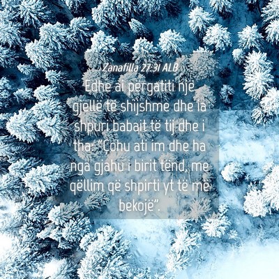 Picture 04 - Zanafilla 27:31 ALB - Edhe ai përgatiti një gjellë të shijshme dhe - Bible Verse Picture