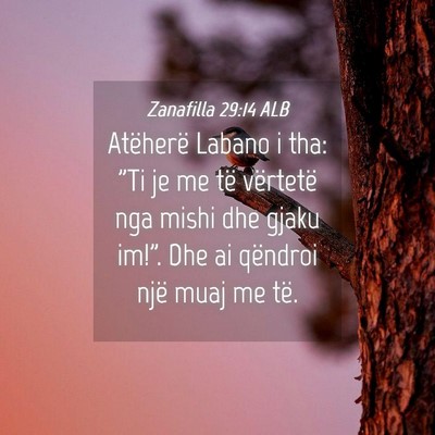 Picture 04 - Zanafilla 29:14 ALB - Atëherë Labano i tha: 