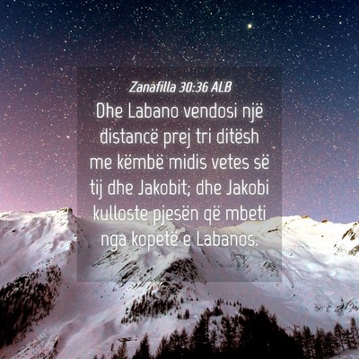 Picture 04 - Zanafilla 30:36 ALB - Dhe Labano vendosi një distancë prej tri - Bible Verse Picture