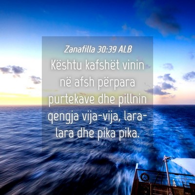 Picture 04 - Zanafilla 30:39 ALB - Kështu kafshët vinin në afsh përpara - Bible Verse Picture