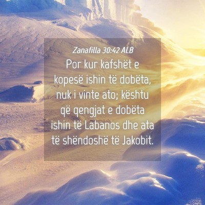 Picture 04 - Zanafilla 30:42 ALB - Por kur kafshët e kopesë ishin të dobëta, nuk - Bible Verse Picture
