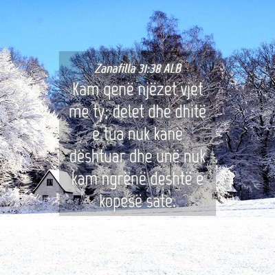 Picture 04 - Zanafilla 31:38 ALB - Kam qenë njëzet vjet me ty; delet dhe dhitë e - Bible Verse Picture