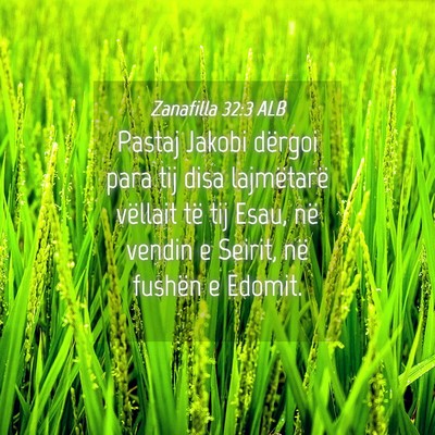 Picture 04 - Zanafilla 32:3 ALB - Pastaj Jakobi dërgoi para tij disa lajmëtarë - Bible Verse Picture