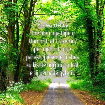 Picture 04 - Zanafilla 33:19 ALB - Dhe bleu nga bijtë e Hamorit, at i Sikemit, për - Bible Verse Picture