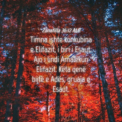 Picture 04 - Zanafilla 36:12 ALB - Timna ishte konkubina e Elifazit, i biri i Esaut. - Bible Verse Picture