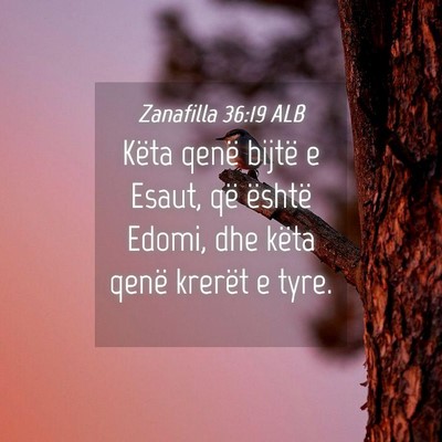 Picture 04 - Zanafilla 36:19 ALB - Këta qenë bijtë e Esaut, që është Edomi, - Bible Verse Picture