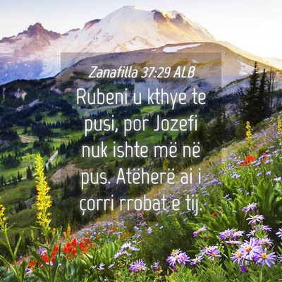 Picture 04 - Zanafilla 37:29 ALB - Rubeni u kthye te pusi, por Jozefi nuk ishte më - Bible Verse Picture
