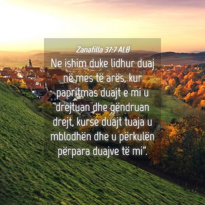 Picture 04 - Zanafilla 37:7 ALB - Ne ishim duke lidhur duaj në mes të arës, kur - Bible Verse Picture