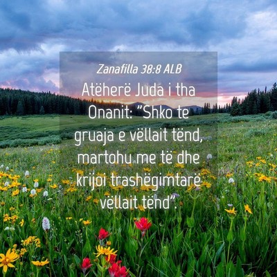 Picture 04 - Zanafilla 38:8 ALB - Atëherë Juda i tha Onanit: 