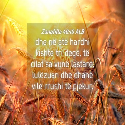 Picture 04 - Zanafilla 40:10 ALB - dhe në atë hardhi kishte tri degë, të cilat - Bible Verse Picture