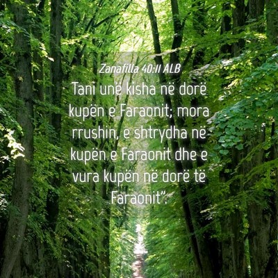 Picture 04 - Zanafilla 40:11 ALB - Tani unë kisha në dorë kupën e Faraonit; mora - Bible Verse Picture