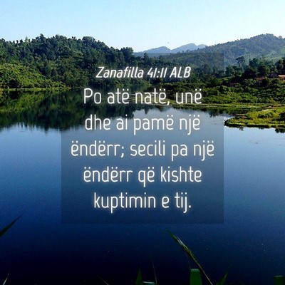 Picture 04 - Zanafilla 41:11 ALB - Po atë natë, unë dhe ai pamë një ëndërr; - Bible Verse Picture