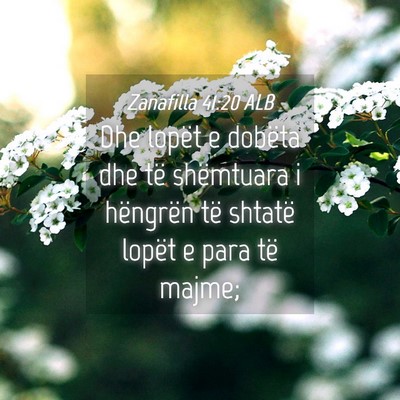 Picture 04 - Zanafilla 41:20 ALB - Dhe lopët e dobëta dhe të shëmtuara i - Bible Verse Picture
