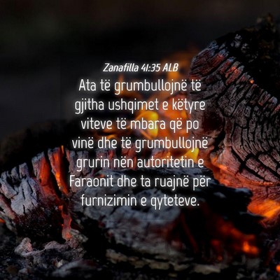 Picture 04 - Zanafilla 41:35 ALB - Ata të grumbullojnë të gjitha ushqimet e - Bible Verse Picture