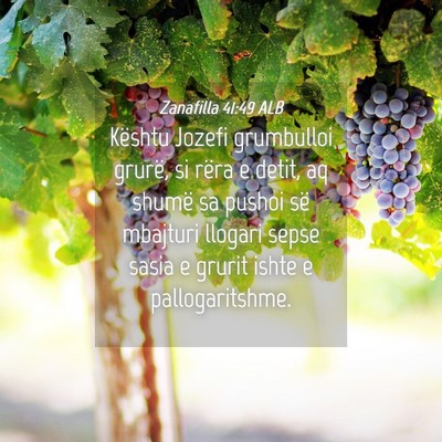 Picture 04 - Zanafilla 41:49 ALB - Kështu Jozefi grumbulloi grurë, si rëra e - Bible Verse Picture