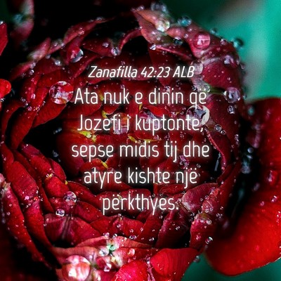 Picture 04 - Zanafilla 42:23 ALB - Ata nuk e dinin që Jozefi i kuptonte, sepse - Bible Verse Picture