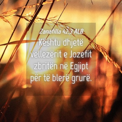 Picture 04 - Zanafilla 42:3 ALB - Kështu dhjetë vëllezërit e Jozefit zbritën - Bible Verse Picture