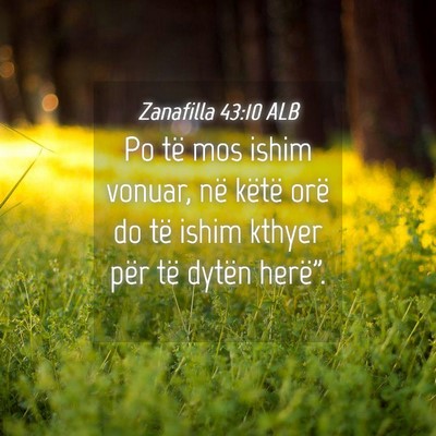 Picture 04 - Zanafilla 43:10 ALB - Po të mos ishim vonuar, në këtë orë do të - Bible Verse Picture