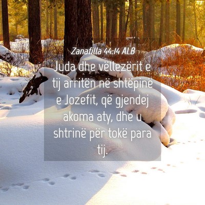 Picture 04 - Zanafilla 44:14 ALB - Juda dhe vëllezërit e tij arritën në - Bible Verse Picture