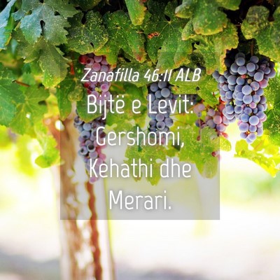 Picture 04 - Zanafilla 46:11 ALB - Bijtë e Levit: Gershomi, Kehathi dhe - Bible Verse Picture