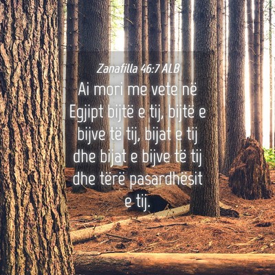 Picture 04 - Zanafilla 46:7 ALB - Ai mori me vete në Egjipt bijtë e tij, bijtë e - Bible Verse Picture