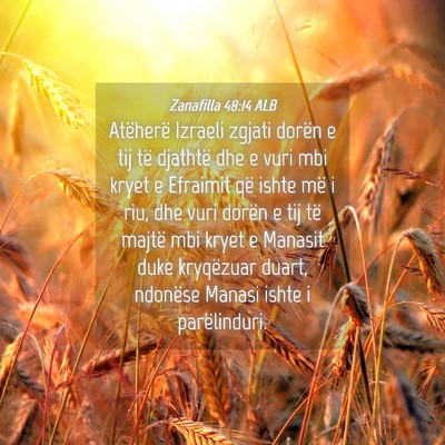 Picture 04 - Zanafilla 48:14 ALB - Atëherë Izraeli zgjati dorën e tij të - Bible Verse Picture