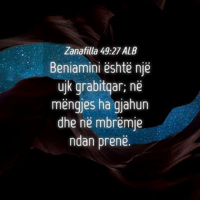 Picture 04 - Zanafilla 49:27 ALB - Beniamini është një ujk grabitqar; në - Bible Verse Picture