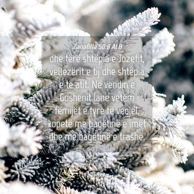 Picture 04 - Zanafilla 50:8 ALB - dhe tërë shtëpia e Jozefit, vëllezërit e tij - Bible Verse Picture