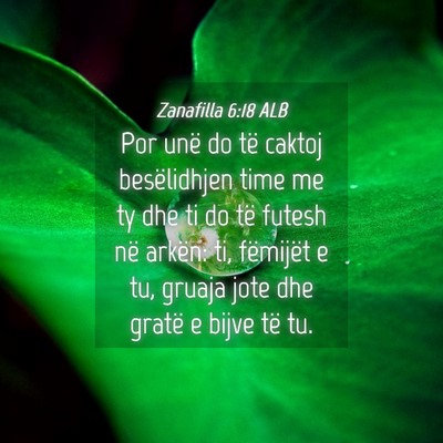 Picture 04 - Zanafilla 6:18 ALB - Por unë do të caktoj besëlidhjen time me ty - Bible Verse Picture