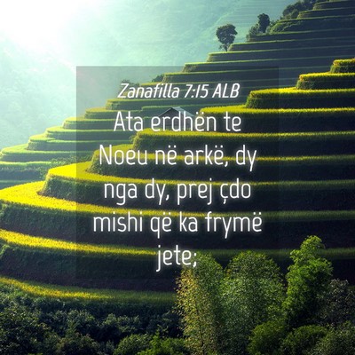 Picture 04 - Zanafilla 7:15 ALB - Ata erdhën te Noeu në arkë, dy nga dy, prej - Bible Verse Picture