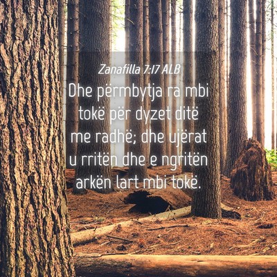 Picture 04 - Zanafilla 7:17 ALB - Dhe përmbytja ra mbi tokë për dyzet ditë me - Bible Verse Picture