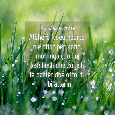 Picture 04 - Zanafilla 8:20 ALB - Atëherë Noeu ndërtoi një altar për Zotin, - Bible Verse Picture