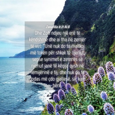 Picture 04 - Zanafilla 8:21 ALB - Dhe Zoti ndjeu një erë të këndshme dhe ai tha - Bible Verse Picture