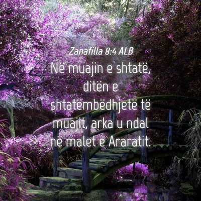 Picture 04 - Zanafilla 8:4 ALB - Në muajin e shtatë, ditën e shtatëmbëdhjetë - Bible Verse Picture