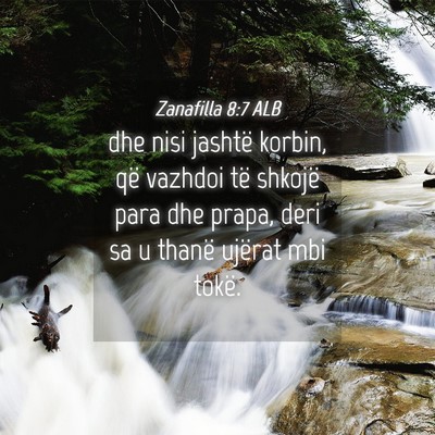 Picture 04 - Zanafilla 8:7 ALB - dhe nisi jashtë korbin, që vazhdoi të shkojë - Bible Verse Picture