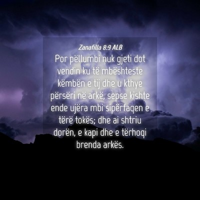 Picture 04 - Zanafilla 8:9 ALB - Por pëllumbi nuk gjeti dot vendin ku të - Bible Verse Picture