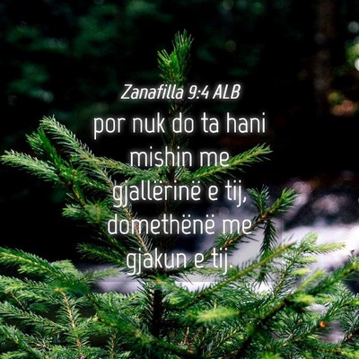 Picture 04 - Zanafilla 9:4 ALB - por nuk do ta hani mishin me gjallërinë e tij, - Bible Verse Picture